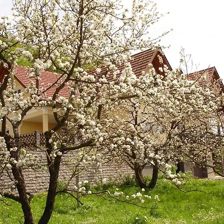 Landhaus Sudy بيت ضيافة *